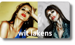 Wit Lakens